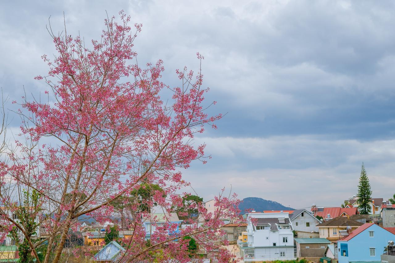 Ruby House Apartment Da Lat Exterior foto
